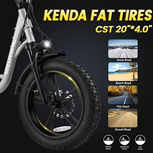 VELOWAVE Prado S Electric Bike for Adults 750W BAFANG Motor