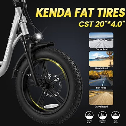 VELOWAVE Prado S Electric Bike for Adults 750W BAFANG Motor