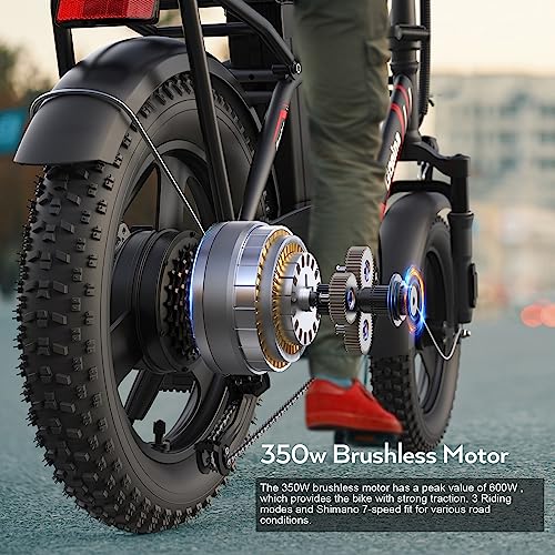 Gopina Electric Bike, 16" x 3.0 Fat Tire Electric Bike for Adults
