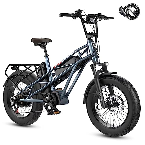 Fucare Electric Bike,Gemini/Gemini X Dual Samsung Battery 30AH,750W 48V Motor