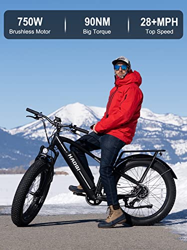 HAOQI Electric Bike for Adults 48V 20AH Removable Cells Battery Black Leopard Pro