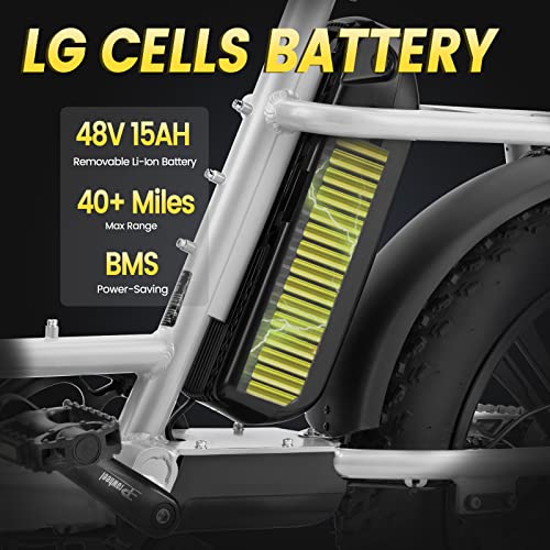 VELOWAVE Prado S Electric Bike for Adults 750W BAFANG Motor