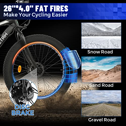 ECOTRIC Cheetah Electric Bike 26" X 4" Fat Tire Bicycle 500W 36V 12.5AH Battery