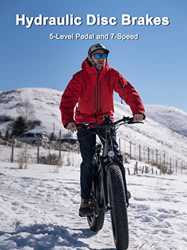 HAOQI Electric Bike for Adults 48V 20AH Removable Cells Battery Black Leopard Pro