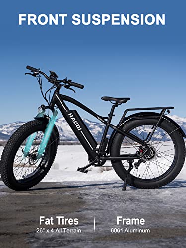 HAOQI Electric Bike for Adults 48V 20AH Removable Cells Battery Black Leopard Pro