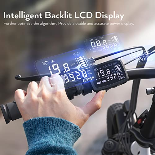 Gopina Electric Bike, 16" x 3.0 Fat Tire Electric Bike for Adults