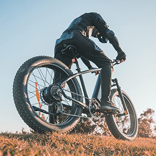 DYU Electric Bike for Adult Up to 80 Miles Long Range Mountain E-Bike, 750W 26" Fat Tire