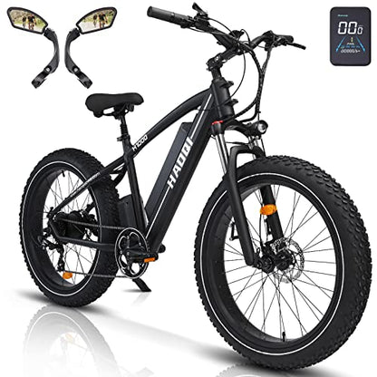 HAOQI Electric Bike for Adults 48V 20AH Removable Cells Battery Black Leopard Pro