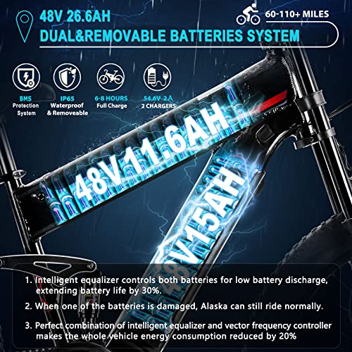 FREESKY Electric Bike for Adults, 1000W BAFANG Motor Dual Battery 26”Fat Tire